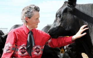 Temple Grandin: bem-estar animal
