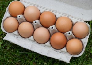 Diferença entre ovo caipira e ovo orgânico