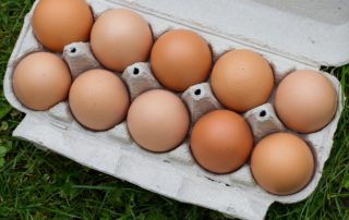 Diferença entre ovo caipira e ovo orgânico