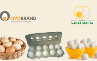 Ovobrand e Huevos Santa Marta recebem certificação de ovos cage free