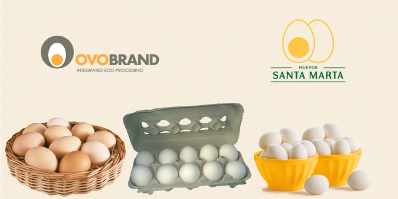 Ovobrand e Huevos Santa Marta recebem certificação de ovos cage free