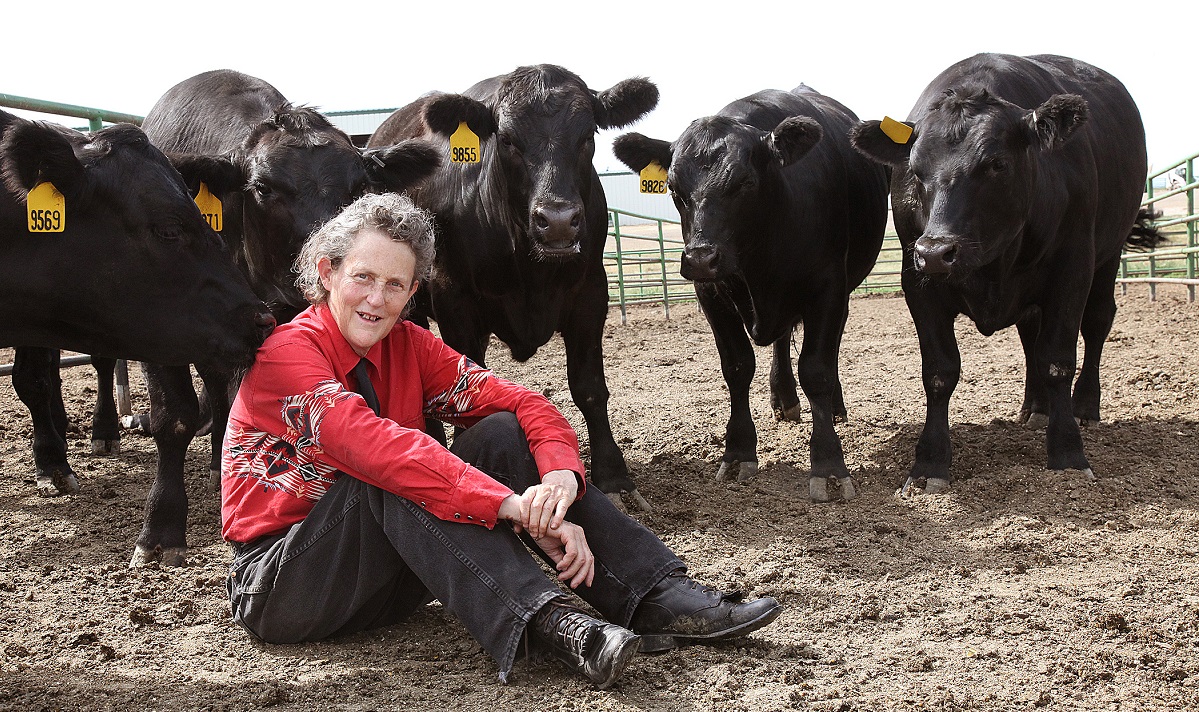 Temple Grandin ao lado de animais