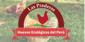 Produtora de ovos free-range: Huevos Las Padreras