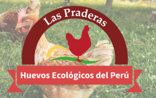 Produtora de ovos free-range: Huevos Las Padreras