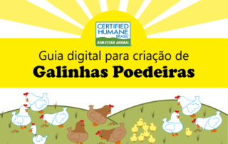 Guia digital para criação de galinhas poedeiras