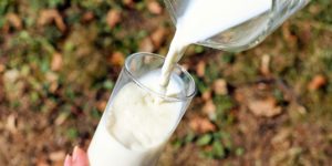 Produção de leite: leite no copo