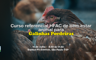 Certified Humane realiza primeiro curso de bem-estar animal para galinhas poedeiras