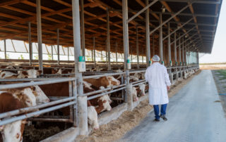 Biosseguridade na produção animal