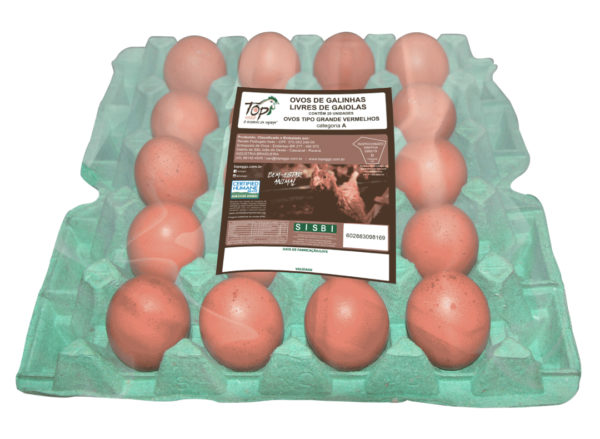 Ovos tipo grande vermelhos produzidos por galinhas livres de gaiolas - 20 unidades