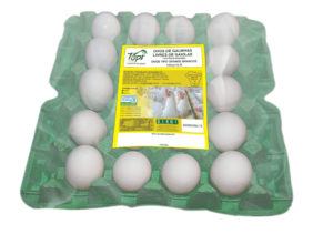 Ovos tipo grande brancos produzidos por galinhas livres de gaiolas - 20 unidades