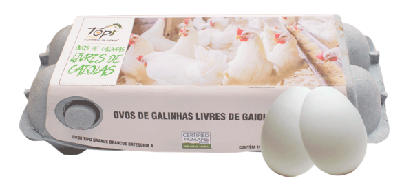 Ovos tipo grande brancos produzidos por galinhas livres de gaiolas - 10 unidades