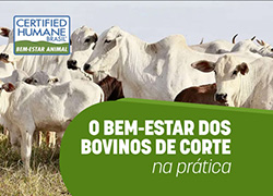 ebook bovinos de corte