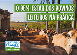 Arquivos Globo Rural - Certified Humane Brasil