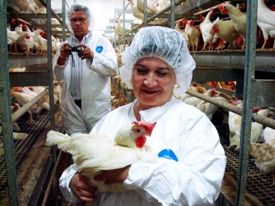 foto de Adele Douglas com galinha