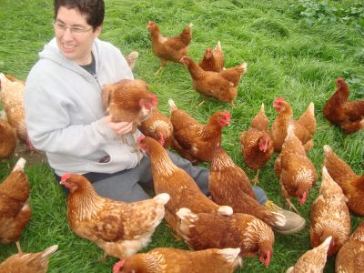 foto pessoa com galinhas no campo