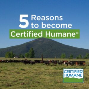 5 reasons to become Certified Humane®