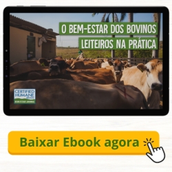 "bem-estar