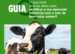 O que você precisa saber para certificar a sua operação industrial com o selo de bem-estar animal?
