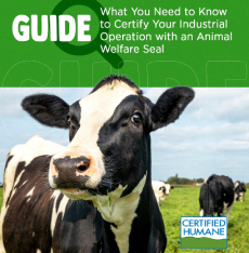 What You Need to Know to Certify Your Industrial Operation with an Animal Welfare Seal