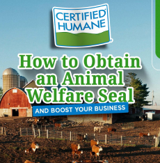 How to Obtain an Animal Welfare Seal and Boost your Business