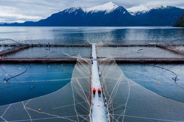 Cooke Aquaculture Chile S.A.