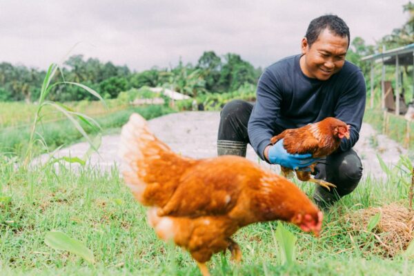 Jero Farm