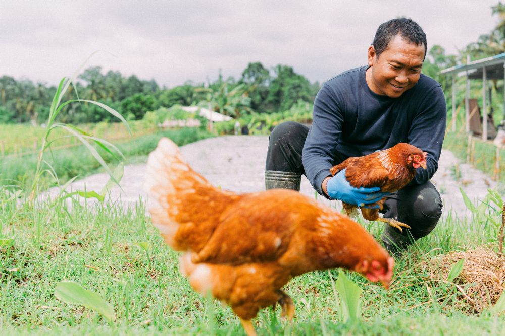 Jero Farm