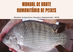 Manual de abate humanitário de peixes
